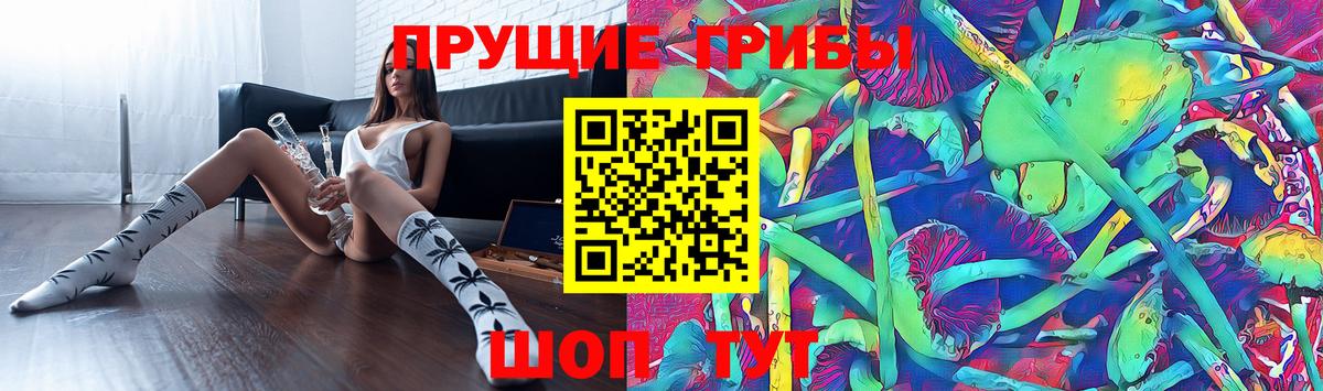 Хасавюрт  Галлюциногенные грибы MAGIC MUSHROOMS  Вход с VPN 